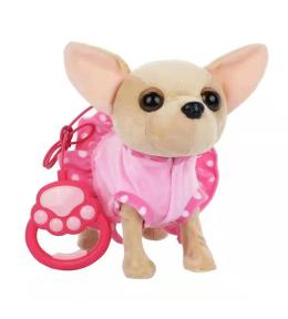 Piesek chodzący chihuahua