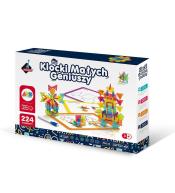 Klocki małych geniuszy śnieżynki 224el