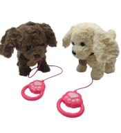 Piesek chodzący mix