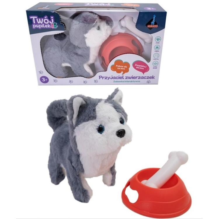 Piesek na baterie z akcesoriami