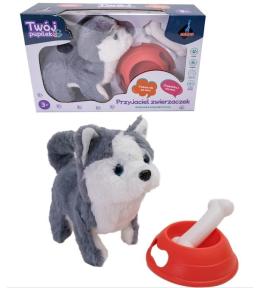 Piesek na baterie z akcesoriami