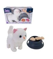 Kotek na baterie z akcesoriami