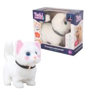 Twój pupilek kotek biały