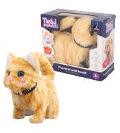 Twój pupilek kotek brązowy