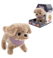 Twój pupilek piesek