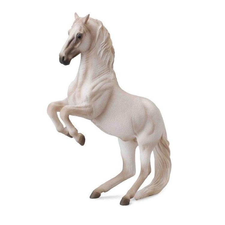 Koń ogier Lipzzanner