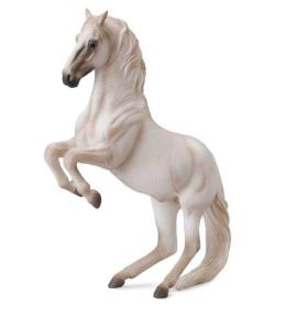 Koń ogier Lipzzanner