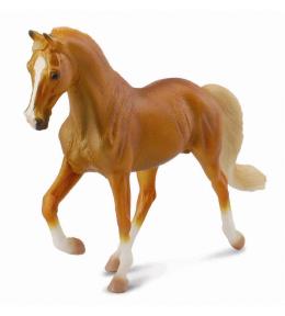 Ogier Tennessee Walking Horse maści izabelowatej