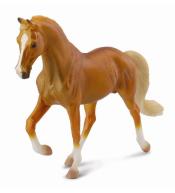 Ogier Tennessee Walking Horse maści izabelowatej