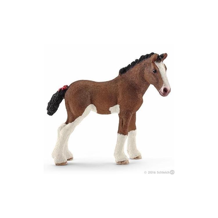 Źrebię rasy Clydesdale