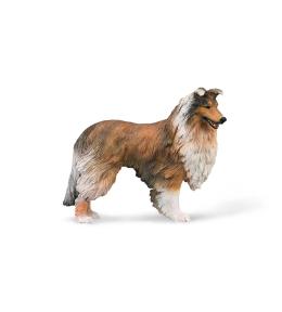 Owczarek szkocki długowłosy