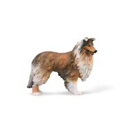 Owczarek szkocki długowłosy