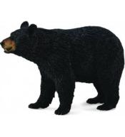 Niedźwiedź Baribal