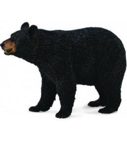 Niedźwiedź Baribal