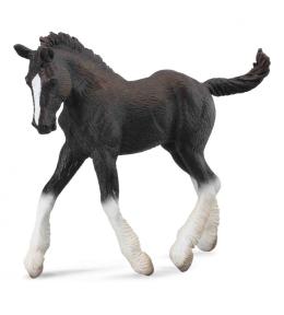 Koń źrebię rasy Shire - czarny