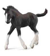 Koń źrebię rasy Shire - czarny