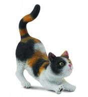 Kot domowy przeciągający się - trzykolorowy