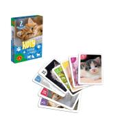 Piotruś i pamięć Koty ALEX