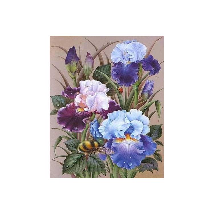 Malowanie po numerach - 40x50cm Irysy