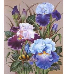 Malowanie po numerach - 40x50cm Irysy