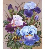 Malowanie po numerach - 40x50cm Irysy