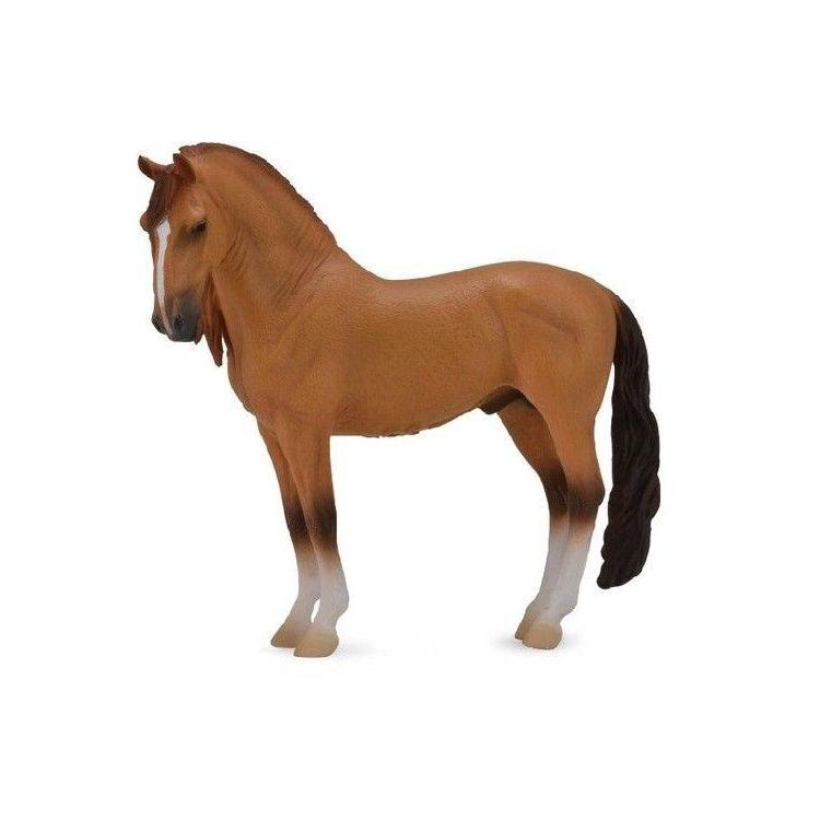 Koń Campolina Stallion Red Dun