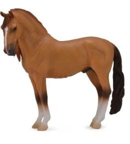 Koń Campolina Stallion Red Dun