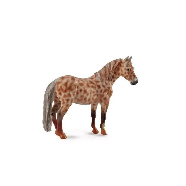 Klacz British Spotted Pony maści kasztan leopard