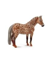 Klacz British Spotted Pony maści kasztan leopard