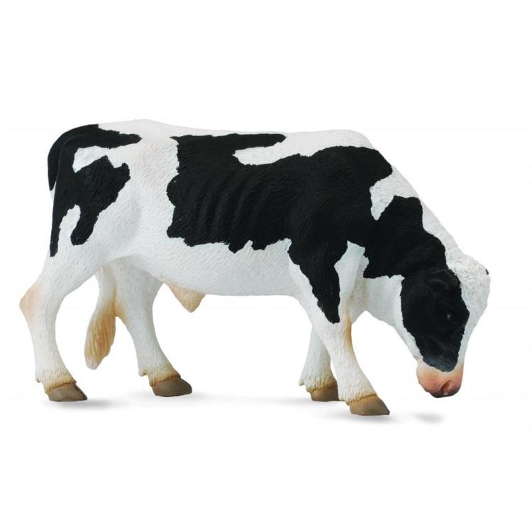 Byk Friesian