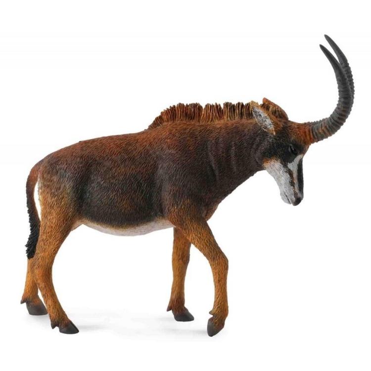 Antylopa gigant sable samica