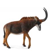 Antylopa gigant sable samica