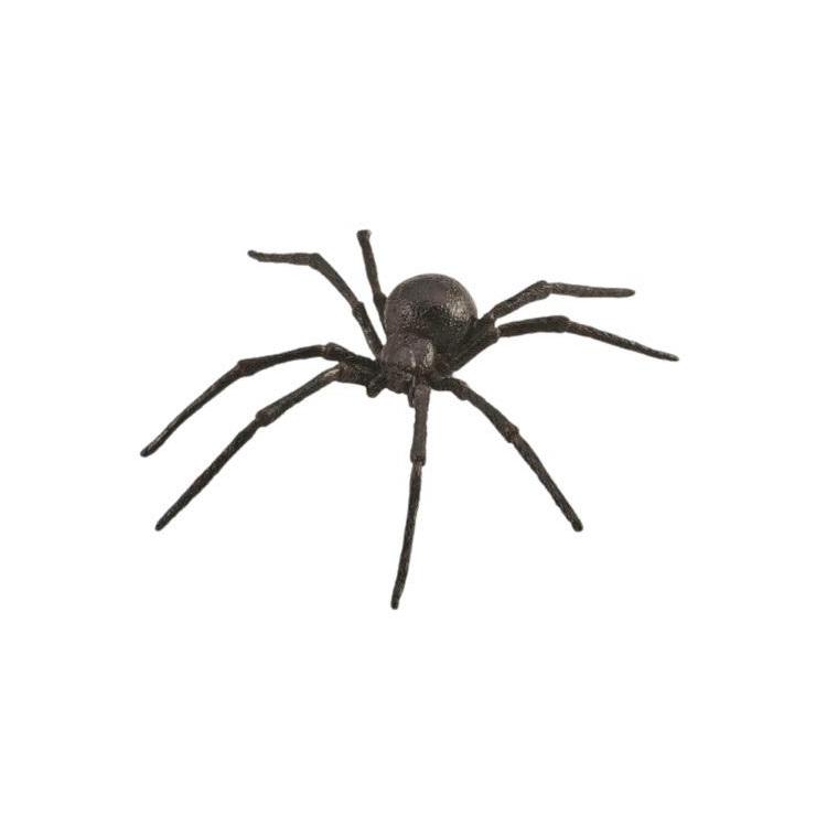 Pająk Czarna Wdowa