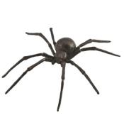 Pająk Czarna Wdowa