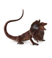 Jaszczurka agama kołnierzasta