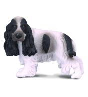 Pies cocker spaniel angielski