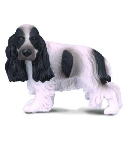 Pies cocker spaniel angielski