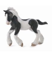 Koń rasy Tinker źrebię maści srokatej