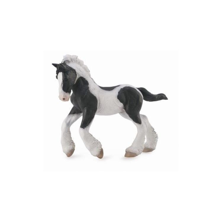 Koń rasy Tinker źrebię maści srokatej