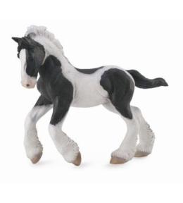 Koń rasy Tinker źrebię maści srokatej