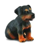 Pies rottweiler szczeniak