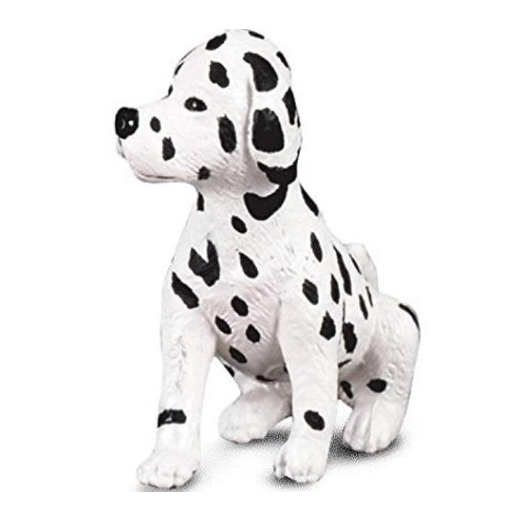 Pies Dalmatyńczyk szczeniak