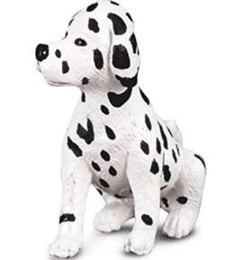 Pies Dalmatyńczyk szczeniak