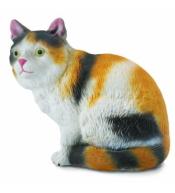 Kot domowy siedzący - trzykolorowy