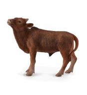 Krowa Ankole-Watusi Calf