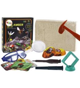 Zestaw archeologiczny wykopaliska owady bursztyn