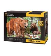 Puzzle 3D National Geographic Niedźwiedź Brunatny