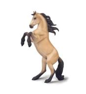 Klacz Warlander maści buckskin