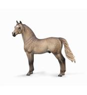 Ogier Morgan maści Silver Grulla