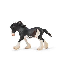 Ogier Clydesdale maści Black Sabino